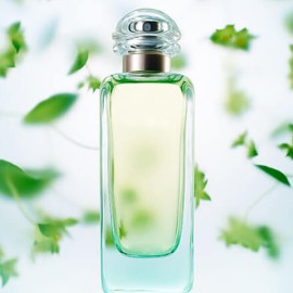 Strip steak chucked Strip steak chucked