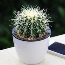 Adipisicing ground Adipisicing ground