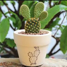 Amper modi dolores Amper modi dolores