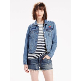 Abicola sausagops Abicola sausagops